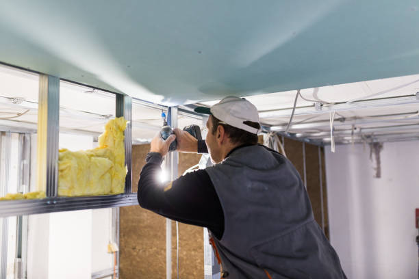 Best Insulation Maintenance and Repair in Coon Rapids, MN