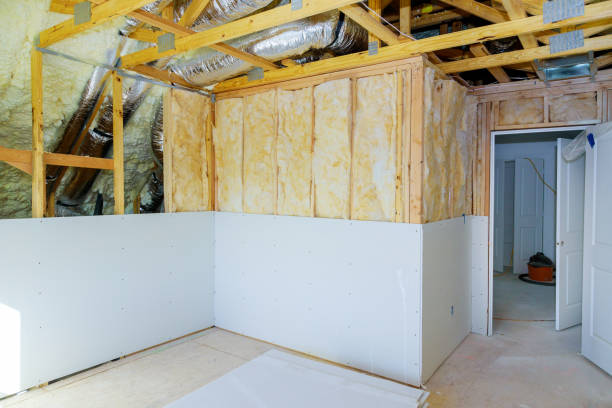 Best Insulation Installation Services in Coon Rapids, MN