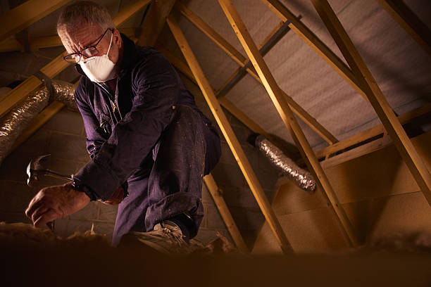 Best Types of Insulation in Coon Rapids, MN